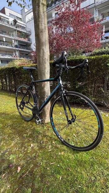 Used Bergamont Bergamont Custom Shimano 105 2016 Road & Gravel, Schwarz — image 3 of 12