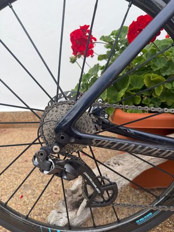 Used Specialized S-Works Tarmac SL7 2023 Ultegra Di2 2023 Road & Gravel, Blue — image 2 of 8