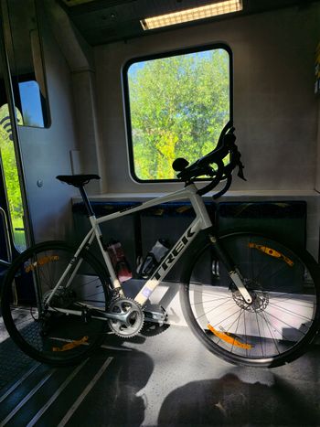 Used Trek Domane AL 4 Gen 4 2026 2026 Road & Gravel