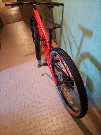 Used Scott Scale 935 2019 2019 Mountainbike, Orange — image 3 of 10