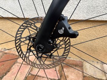 Used Pinarello Dogma F | 165-172cm | TOP NEW Italian Bike 2024 Road & Gravel — image 11 of 14