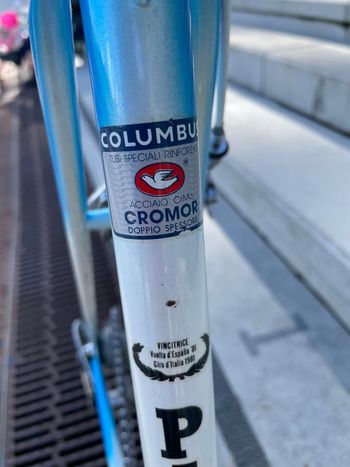 Used Pinarello Trevisio 1982 Road & Gravel — image 2 of 8