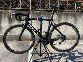 Used Pinarello Dogma F10 Disk Frameset 2021 2021 Road & Gravel