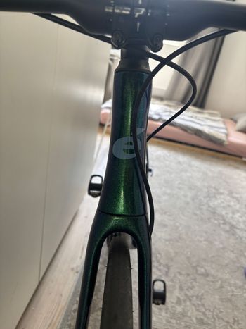 Used Cervélo Caledonia Shimano 105 Di2 2023 Road & Gravel, Grün — image 7 of 9