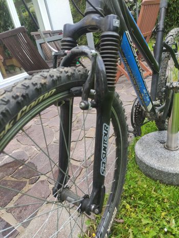 Used Serious Lady 2011 Mountainbike — image 4 of 8
