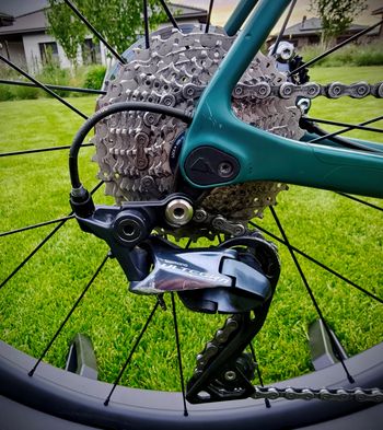 Used Canyon Endurace CF SL 8 Disc 2023 2023 Road & Gravel, Verde — image 4 of 8