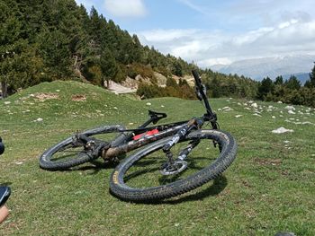 Used Trek Supercaliber 9.8 XT Gen 1 2023 Frameset 2023 Mountainbike, Black, 29 — image 2 of 4