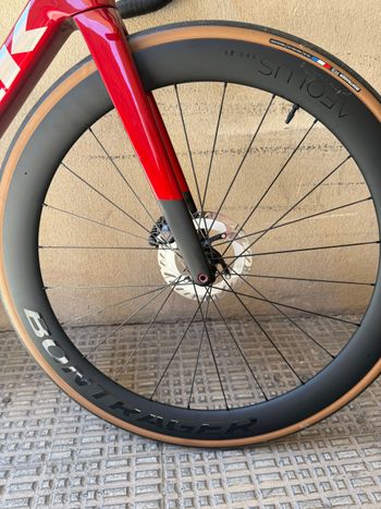 Used TREK MADONE SL 7 M Gloss Fury Red/Matte Deep Smoke GEN 8 Trek Madone SL 7 M Gloss Fury Red/Matte Deep Smoke Gen 8 2026 Road & Gravel, Rot — image 2 of 6