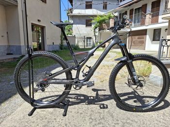 Used Specialized Men's Stumpjumper Comp Carbon 29 - 12-speed 2019 2019 MTB
