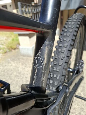 Used Specialized Men's Stumpjumper Comp Carbon 29 - 12-speed 2019 2019 Mountainbike, Black, 29 — image 9 of 13