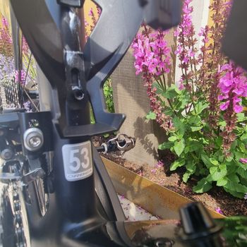 Used Orbea ORCA AERO M30TEAM-D 2021 2021 Road & Gravel, Black — image 4 of 14