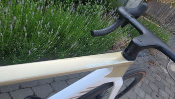 Used Canyon Aeroad CF SLX 7 AXS NSW 2026 2026 Road & Gravel, Blanco — image 9 of 17