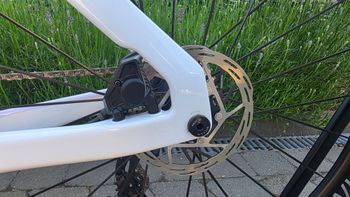 Used Canyon Aeroad CF SLX 7 AXS NSW 2026 2026 Road & Gravel, Blanco — image 13 of 17