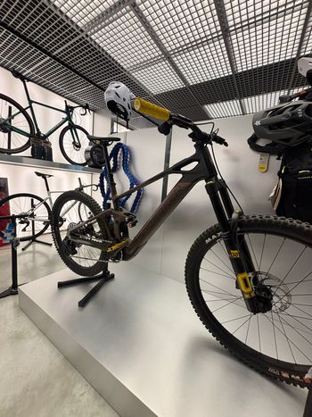 Used Mondraker DUNE RR 2025 2025 MTB