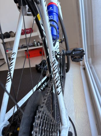 Used Canyon Ultimate Shimano Ultegra 2009 Road & Gravel, Blanco — image 3 of 7