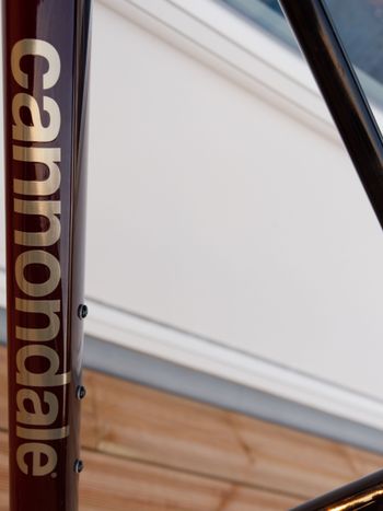Used Cannondale Scalpel HT Hi-MOD Ultimate 2023 Mountainbike, Black — image 6 of 11