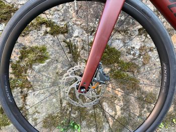 Used Specialized Roubaix SL8 - Shimano Tiagra 2024 2024 Road & Gravel — image 9 of 12