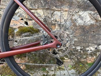 Used Specialized Roubaix SL8 - Shimano Tiagra 2024 2024 Road & Gravel — image 5 of 12