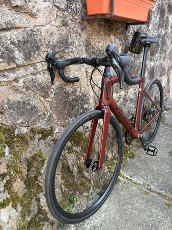 Used Specialized Roubaix SL8 - Shimano Tiagra 2024 2024 Road & Gravel — image 11 of 12