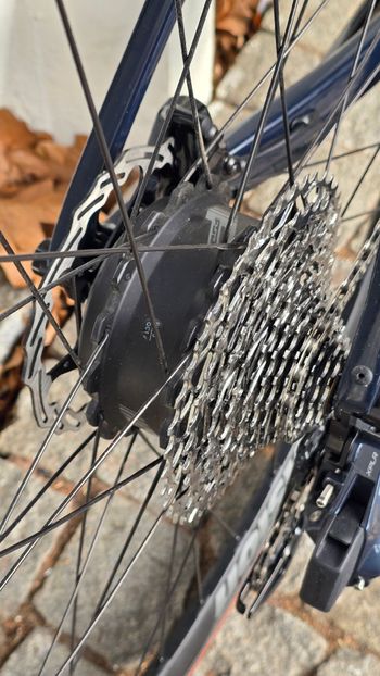 Used Alpha Bikes X-LITE 2025 Road & Gravel, Blue — image 12 of 14