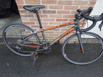 Used Giant TCR Espoir 24 2017 2017 Youth, Light Gray — image 4 of 5