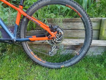 Used Stevens Monarch Trail 2020 2020 Mountainbike, Orange, 29 — image 3 of 15