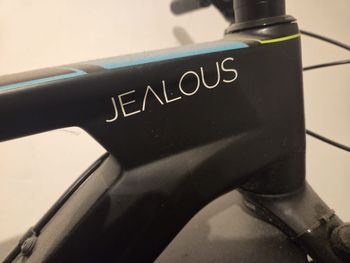 Used Radon JEALOUS AL 10.0 2018 2018 Mountainbike, Black — image 2 of 3