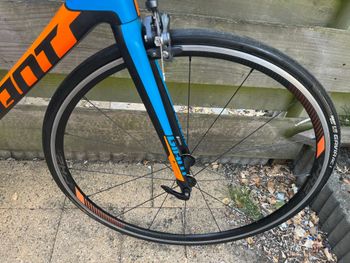 Used Giant TCR Advanced 1 2016 2016 Road & Gravel, Black — image 7 of 14