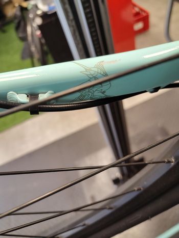 Used Trek Marlin 4 2022 2022 Mountainbike, Green, 27.5, 29 — image 6 of 13