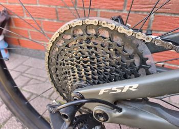 Used Specialized Men's Stumpjumper ST Comp Carbon 29 2019 2019 Mountainbike, Green — image 4 of 11