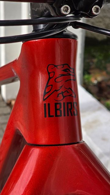 ILBIRS Summit 2026 Mountainbike d'occasion — image 7 sur 13