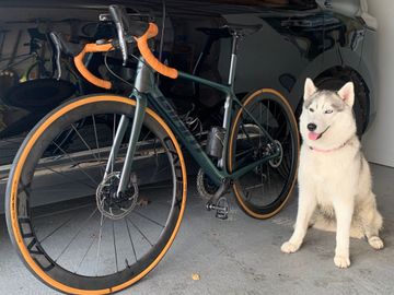 Brugt Giant Tcr Sl 2023 Road & Gravel — billede 2 af 6