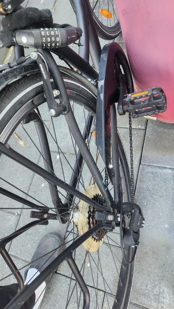 Used Pegasus Lite 2020 Road & Gravel, Black — image 2 of 5