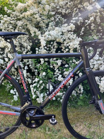Used Standert Kreissäge DISC Doom Grey Shimano 105 7150 12speed Di2 Groupset 2024 2024 Road & Gravel, Schwarz — image 3 of 14