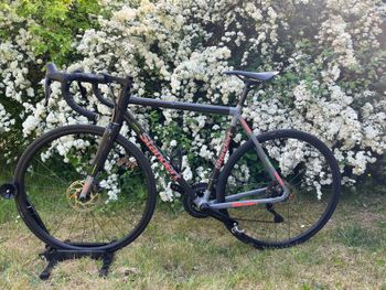 Used Standert Kreissäge DISC Doom Grey Shimano 105 7150 12speed Di2 Groupset 2024 2024 Road & Gravel, Schwarz — image 5 of 14