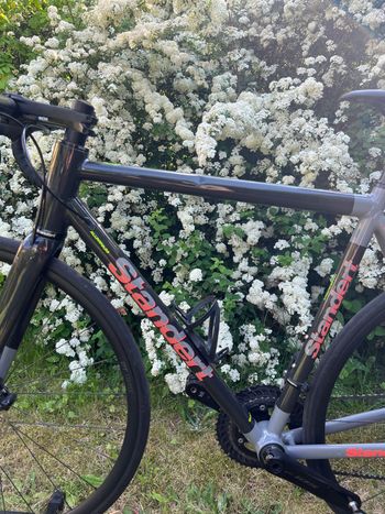 Used Standert Kreissäge DISC Doom Grey Shimano 105 7150 12speed Di2 Groupset 2024 2024 Road & Gravel, Schwarz — image 8 of 14