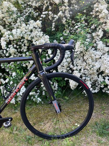 Used Standert Kreissäge DISC Doom Grey Shimano 105 7150 12speed Di2 Groupset 2024 2024 Road & Gravel, Schwarz — image 2 of 14