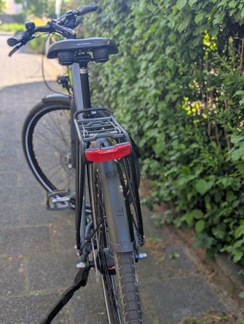 Used Panther Panther Custom Shimano Nexus Hub Gear 2024 Urban — image 4 of 7