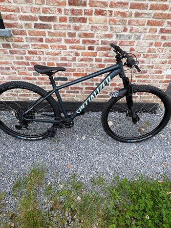 Used Specialized Rockhopper Expert 2025 2025 MTB