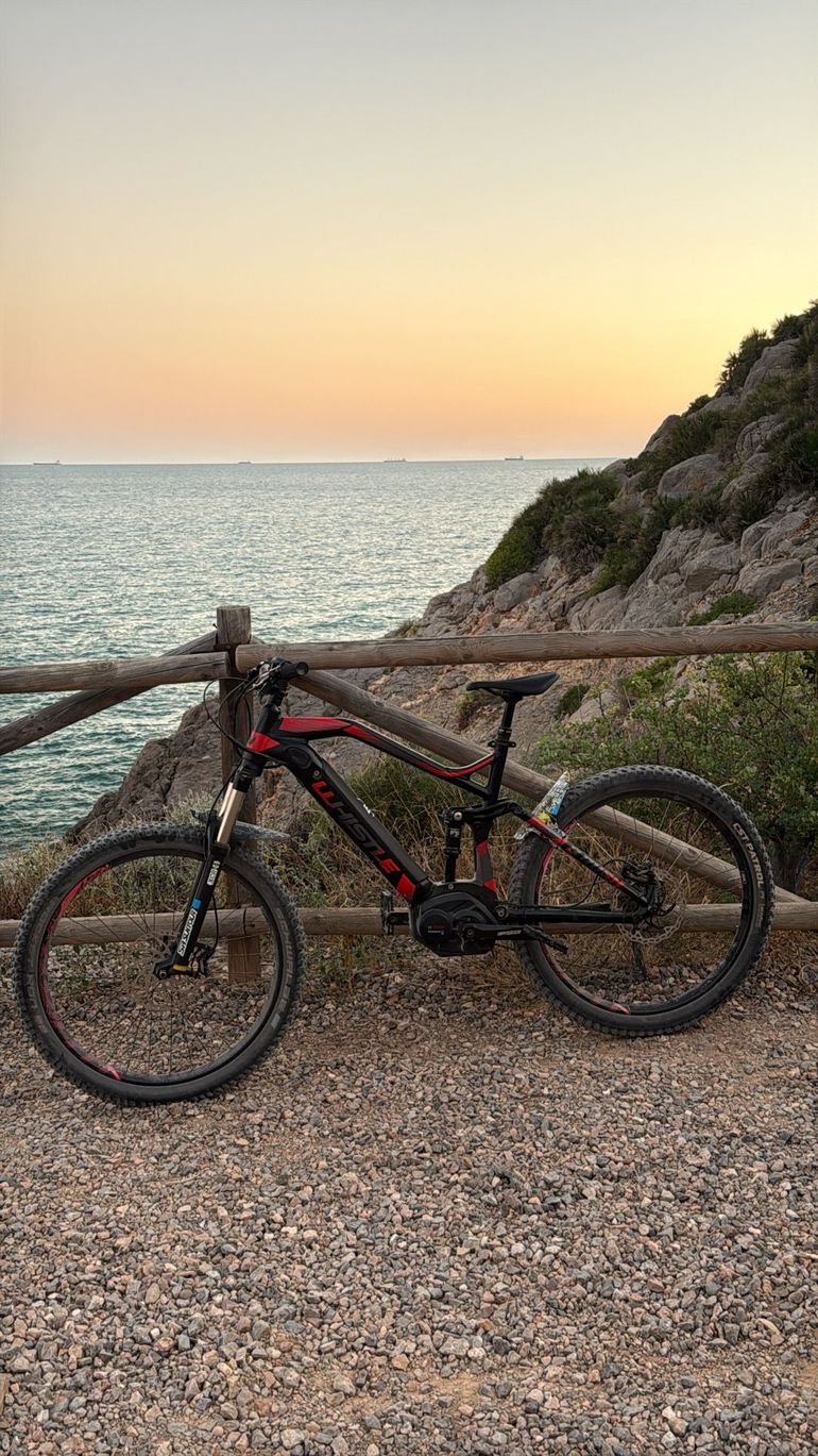 Used Wistle Wistle Custom Other Campagnolo 2020 Mountainbike, Black — image 6 of 6