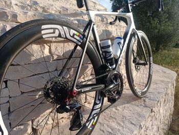 Used Colnago Uae Team Frameset 2025 Road & Gravel, Black — image 6 of 7