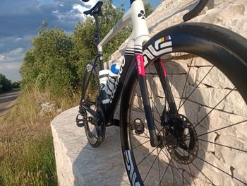 Used Colnago Uae Team Frameset 2025 Road & Gravel, Black — image 5 of 7