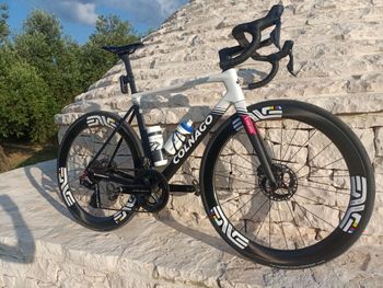 Used Colnago Uae Team Frameset 2025 Road & Gravel, Black — image 7 of 7