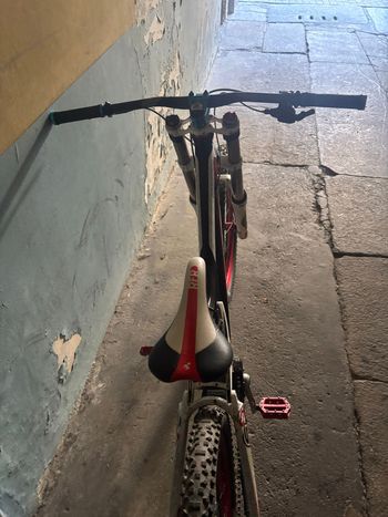 Used Trek Session 8 2025 2025 Mountainbike — image 6 of 6