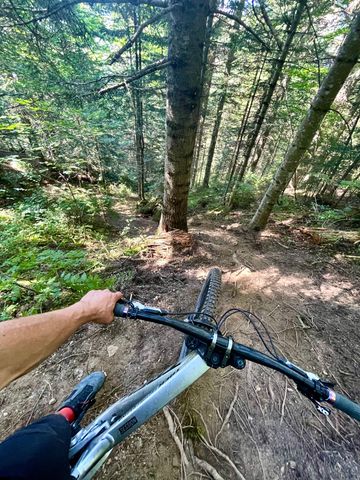 Used Trek Session 9 X01 2025 2025 Mountainbike, Light Gray, 29 — image 5 of 5