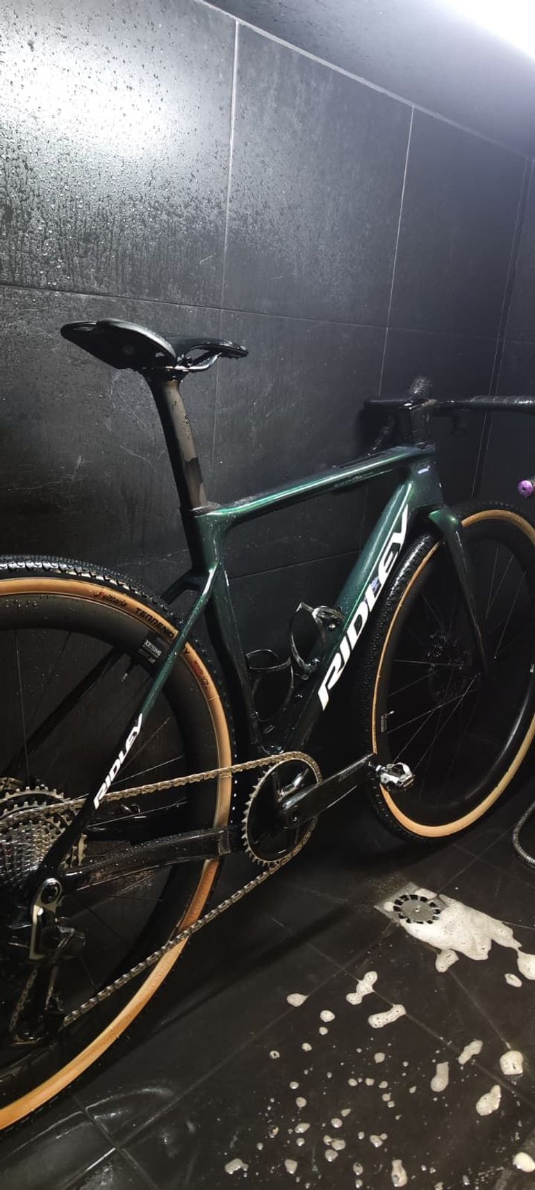 Used Ridley Astr RS - Sram Force XPLR 1x13 2026 2026 Road & Gravel, Green — image 2 of 7