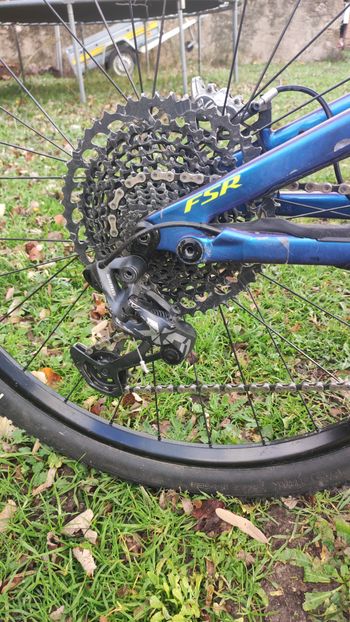 Used Specialized Men's Stumpjumper Comp Carbon 29 - 12-speed 2019 2019 Mountainbike, Blue — image 6 of 7