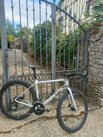 Used Liv Langma Advanced Disc 2 2024 2024 Road & Gravel