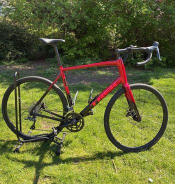 Used Trek Domane AL 2 Gen 4 2024 2024 Road & Gravel, Rosso — image 2 of 3