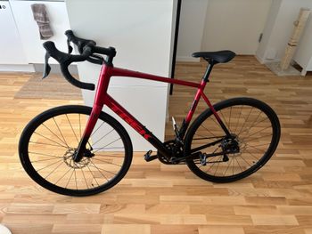 Used Trek Domane AL 2 Gen 4 2024 2024 Corsa & gravel